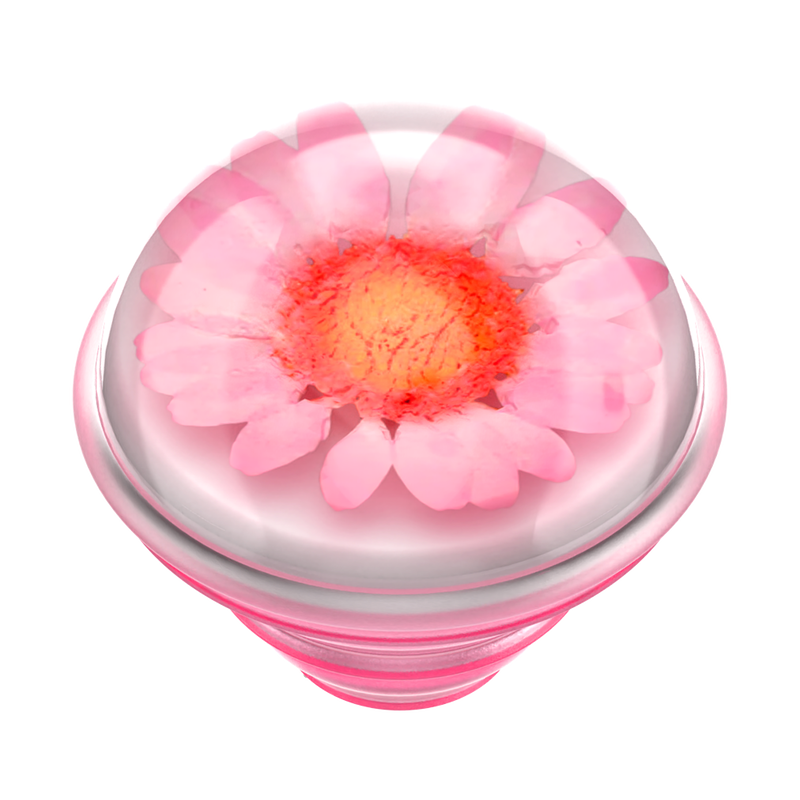 Pressed Flower Globe Pink Daisy image number 7